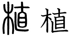 Kanji 植