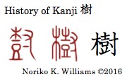 History of Kanji 樹