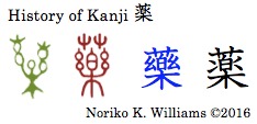 History of Kanji 薬