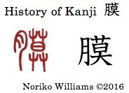 History of Kanji 膜