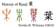 History of Kanji 葉