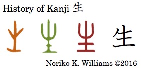 history-of-kanji-%e7%94%9f