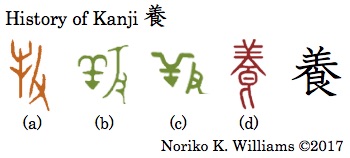 History of Kanji 養