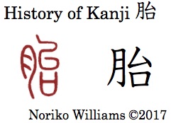 History of Kanji 胎