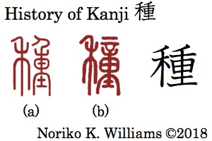 History of Kanji 種