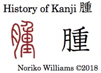 History of Kanji 腫